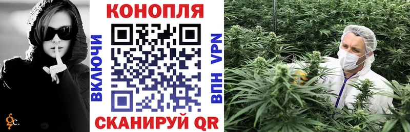 где купить наркоту  Яранск  Канабис семена 